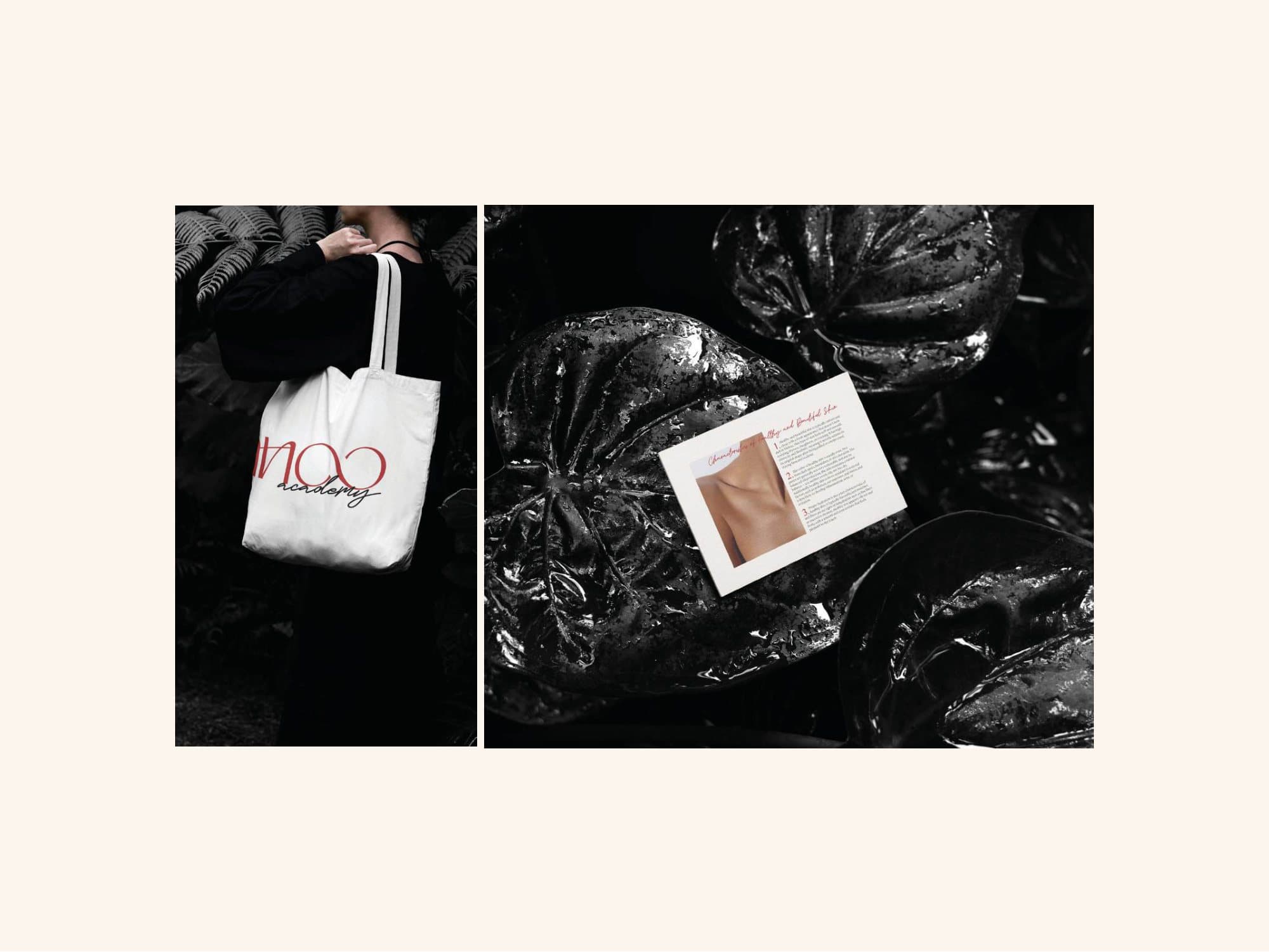 Tote bag and printed collateral